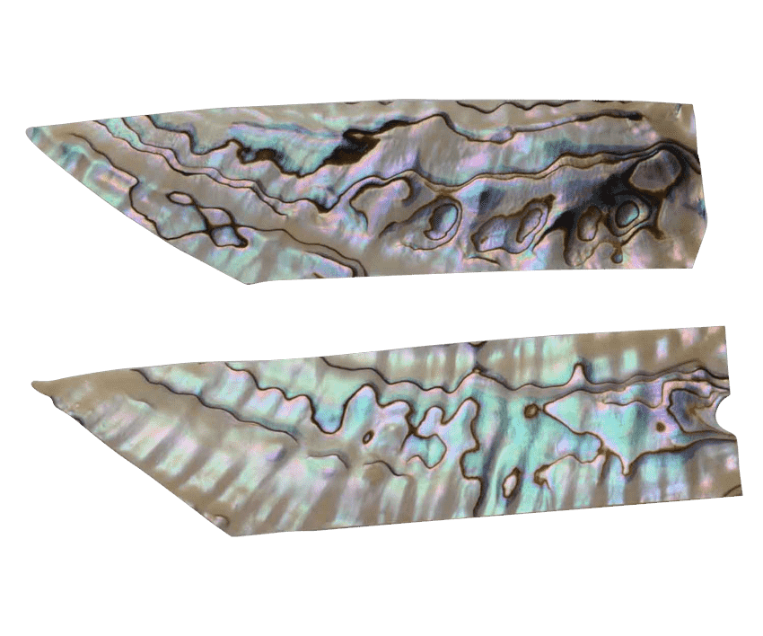 Australian Mother of Pearl Co. Pty Ltd